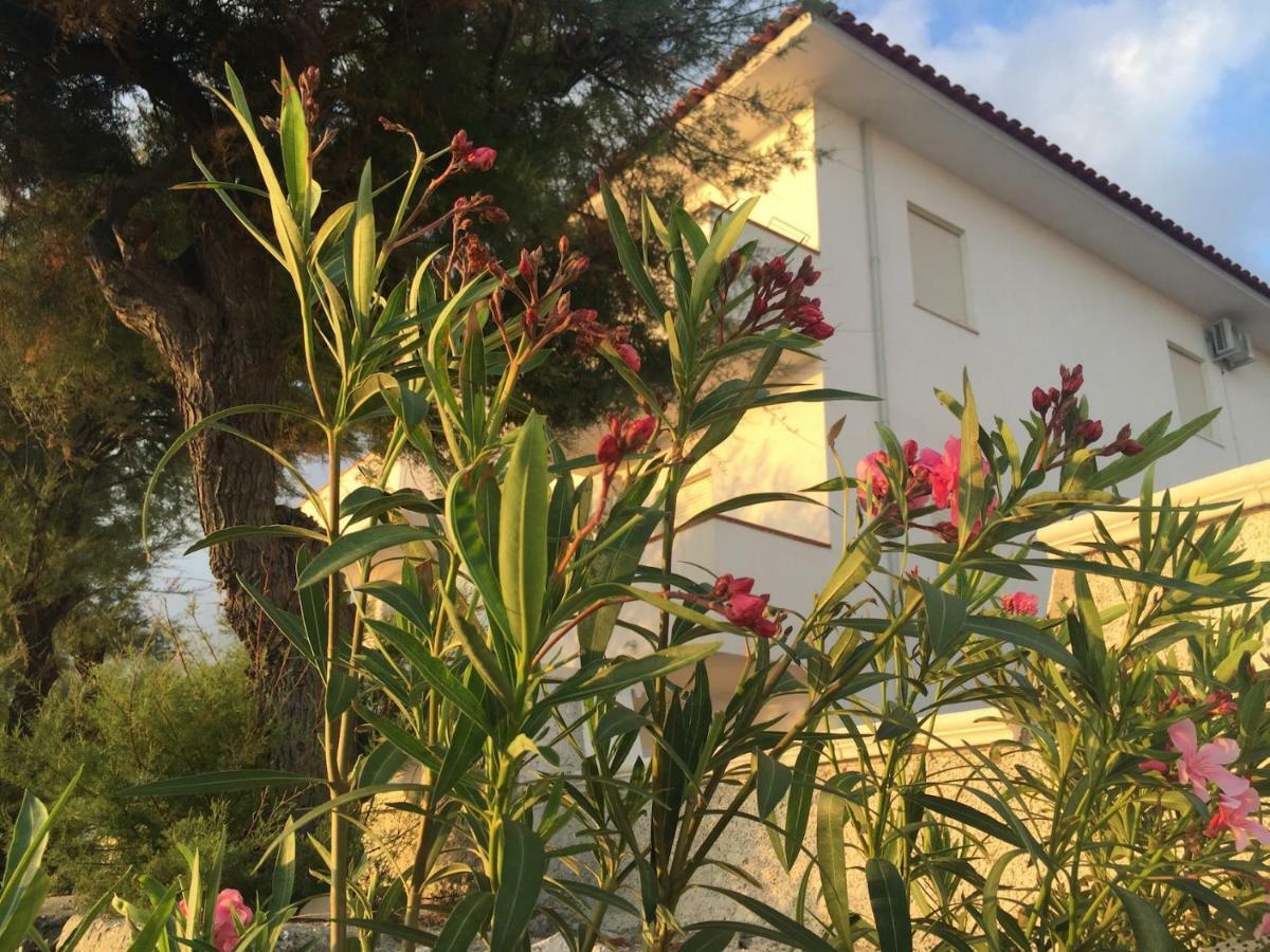 Rivamare Campora Casa Vacanze Campora San Giovanni Exteriör bild